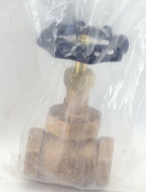 PN-32 BRONZE GLOBE VALVE 1”NPT 400CWF (A755) 1