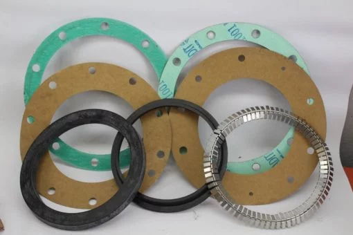Globe Lift 8 5/8” Packing Kit *NEW* (B248) 1