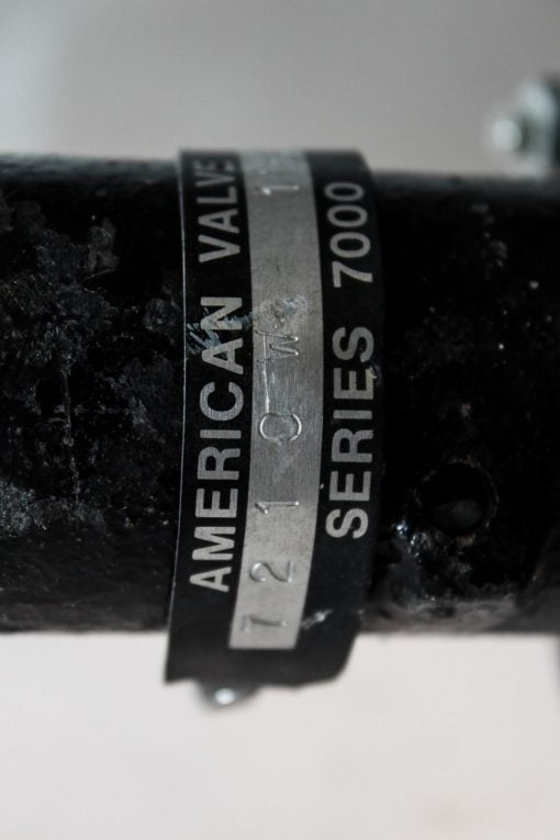 AMERICAN VALVES 7210W 4â? WAFER STYLE STAINLESS STEEL BUTTERFLY VALVE! (B128) 2